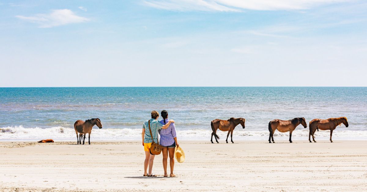 Outer Banks Vacation Guide