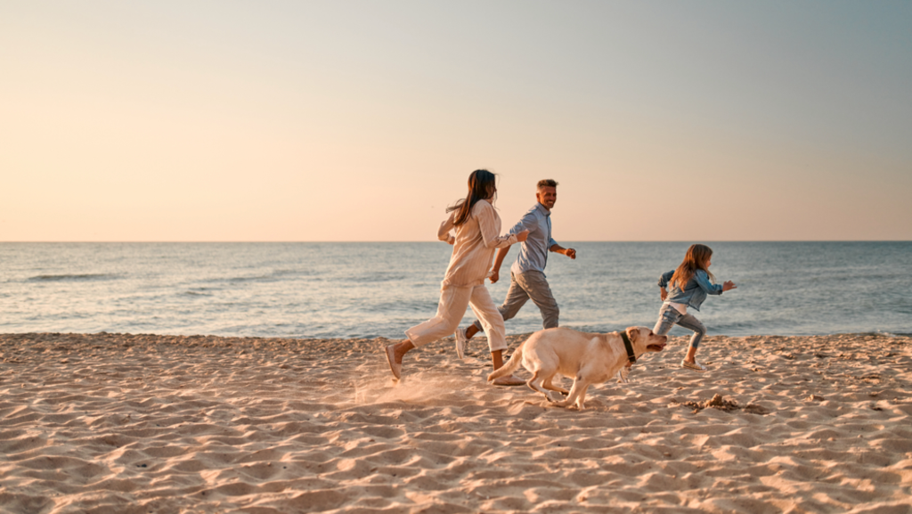 Locations That Suit Dog-Friendly Family Travel